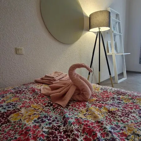 De Charme T3 Climatise Apartment *